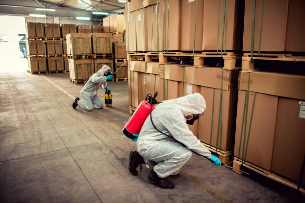 Best Mosquito Control Services  in Brownsville, PA