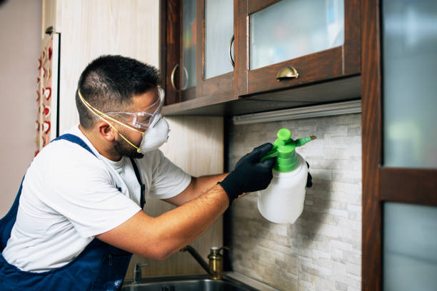 Best Ant Control Services  in Brownsville, PA