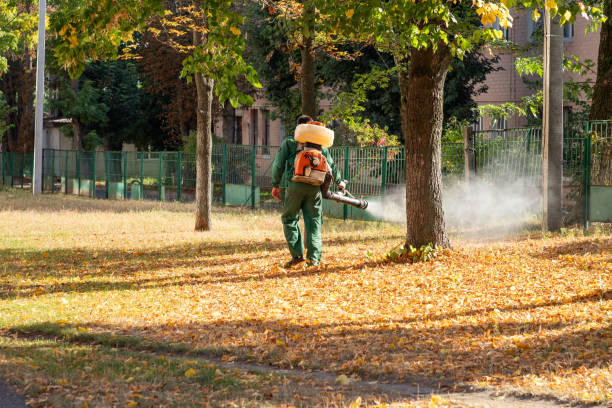 Pest Prevention Services in Brownsville, PA