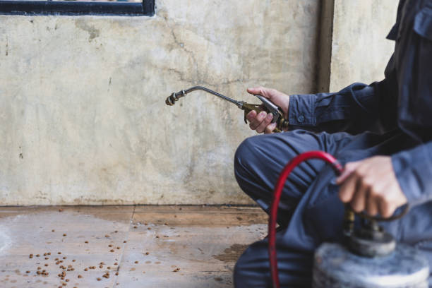Best Termite Control Services  in Brownsville, PA